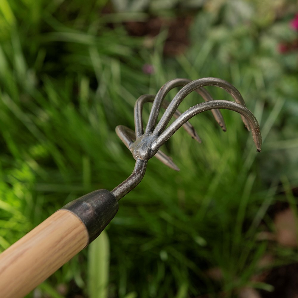 DeWit 5 tine cultivator - long handle