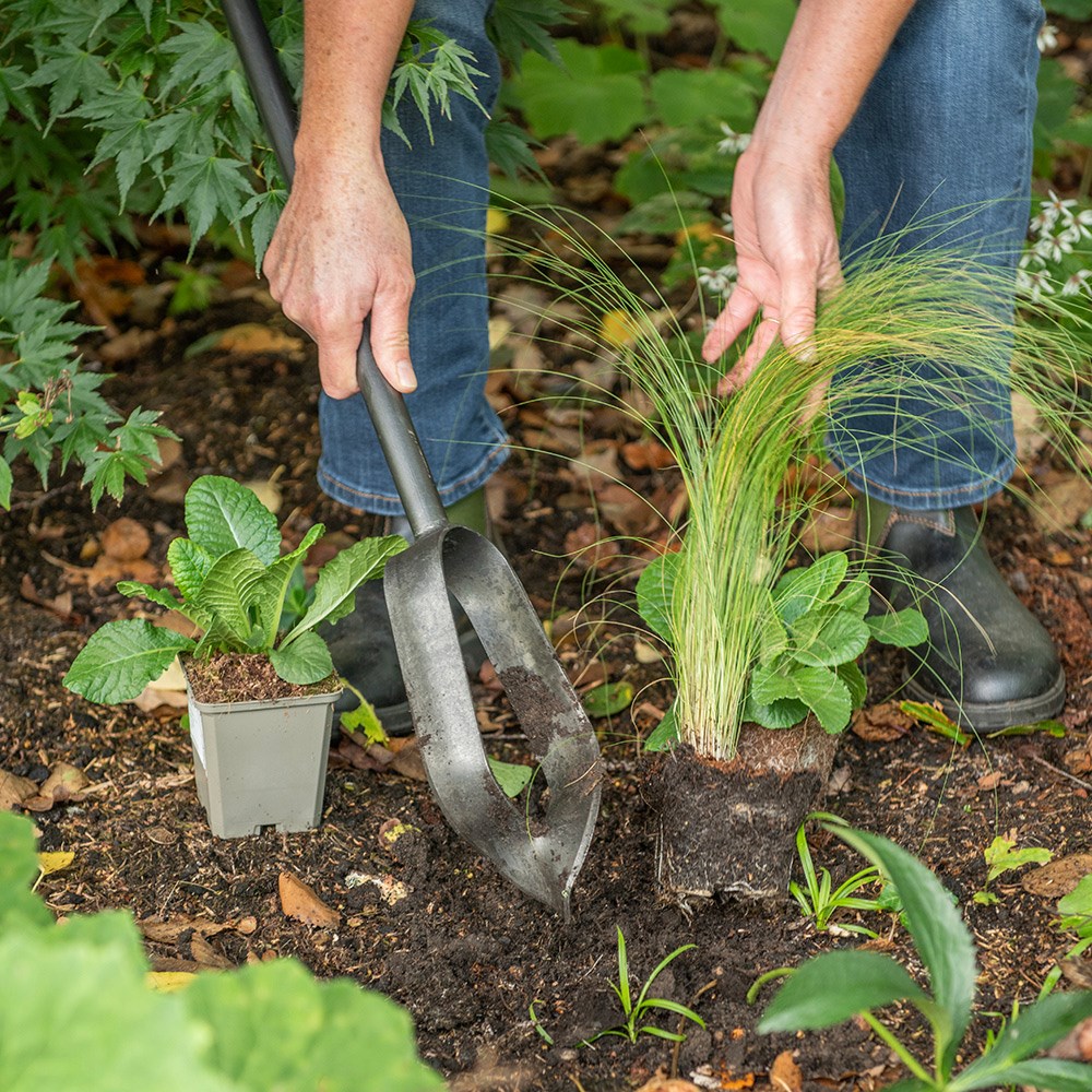 Pinpoint rotational planter for young plants/bulbs - Crocus by DeWit