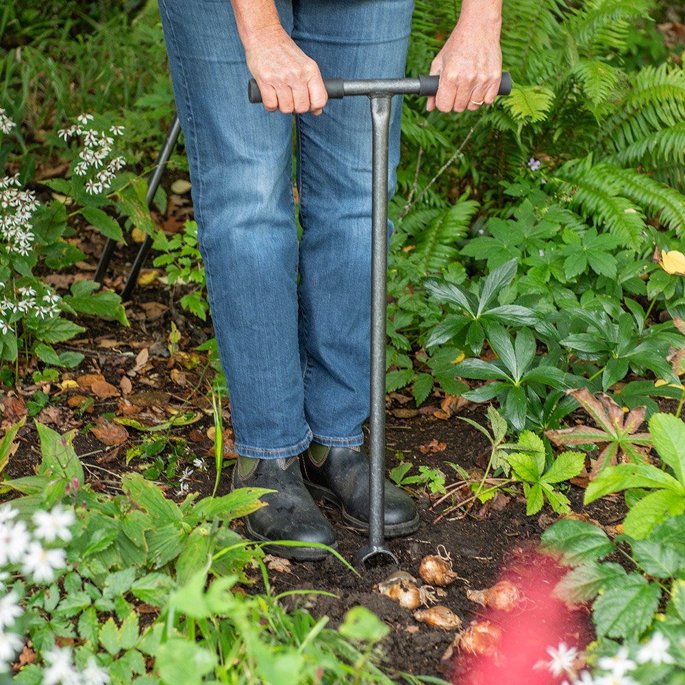 Pinpoint rotational planter for young plants/bulbs - Crocus by DeWit