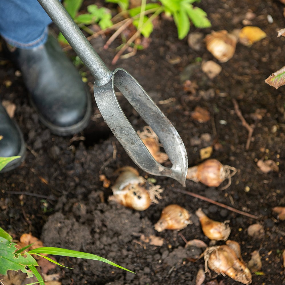 Pinpoint rotational planter for young plants/bulbs - Crocus by DeWit