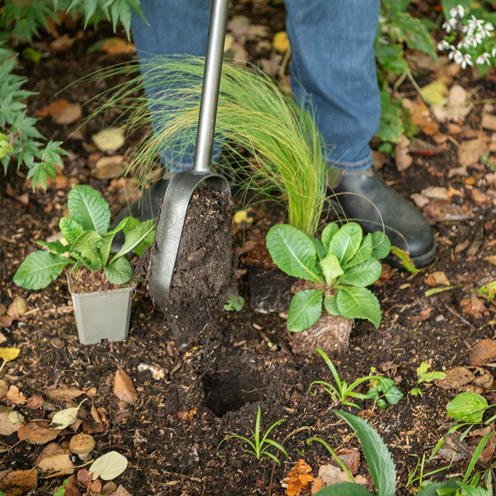 Pinpoint rotational planter for young plants/bulbs - Crocus by DeWit
