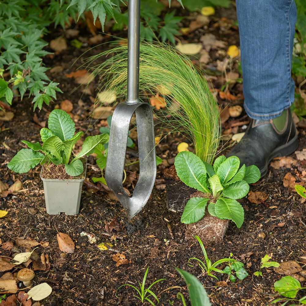Pinpoint rotational planter for young plants/bulbs - Crocus by DeWit