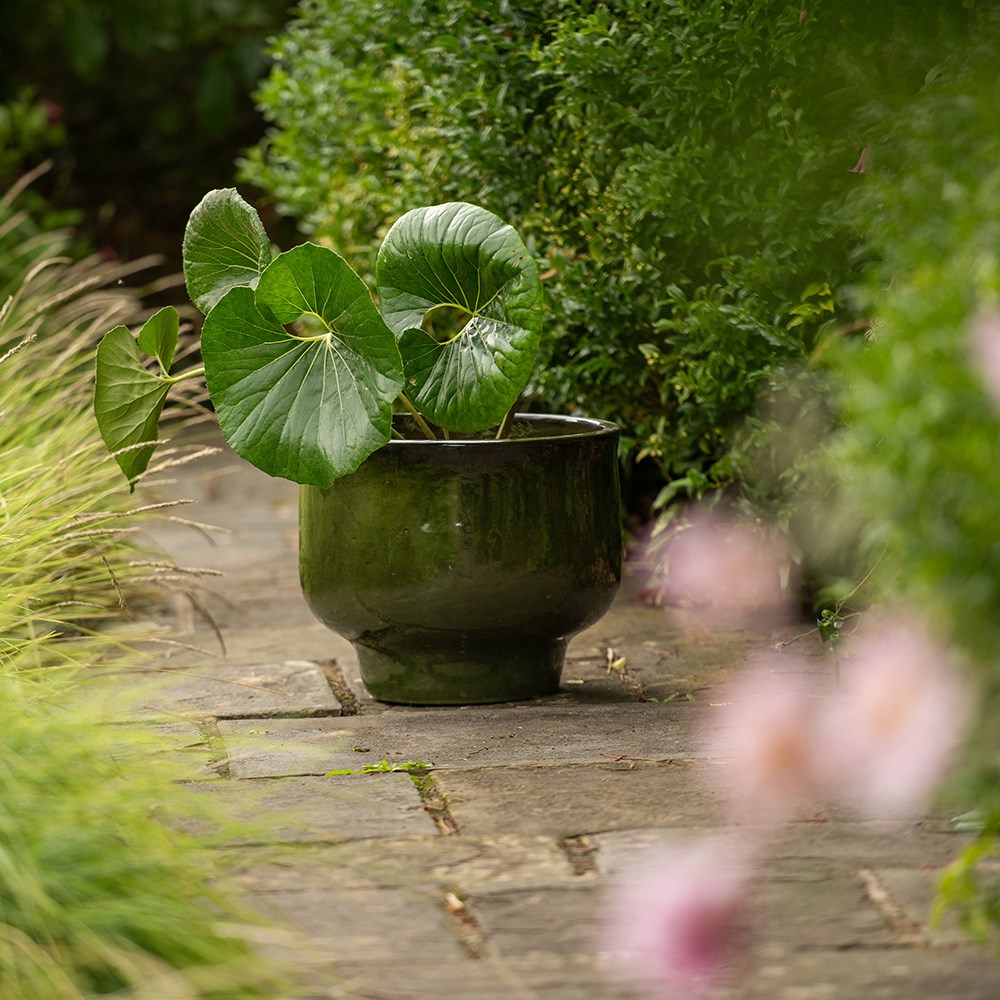 Glazed ceramic planter - khaki