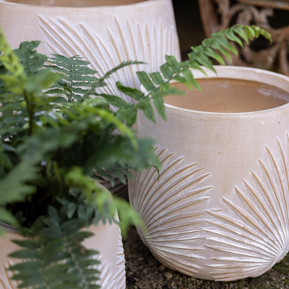 Set of three planters with embossed leaf design