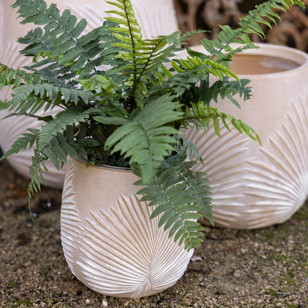 Set of three planters with embossed leaf design