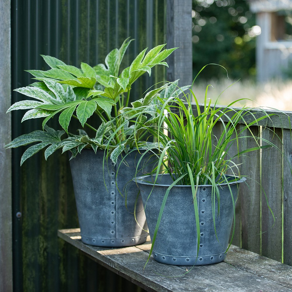 Riveted galvanised metal pot - aged zinc