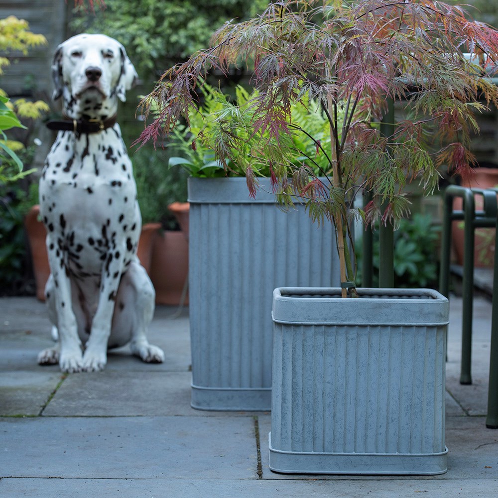 Rectangular dolly pot - aged zinc