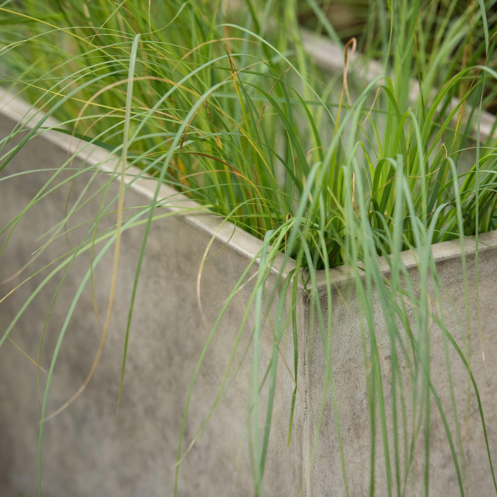 Rectangular terrace planter - weathered cream