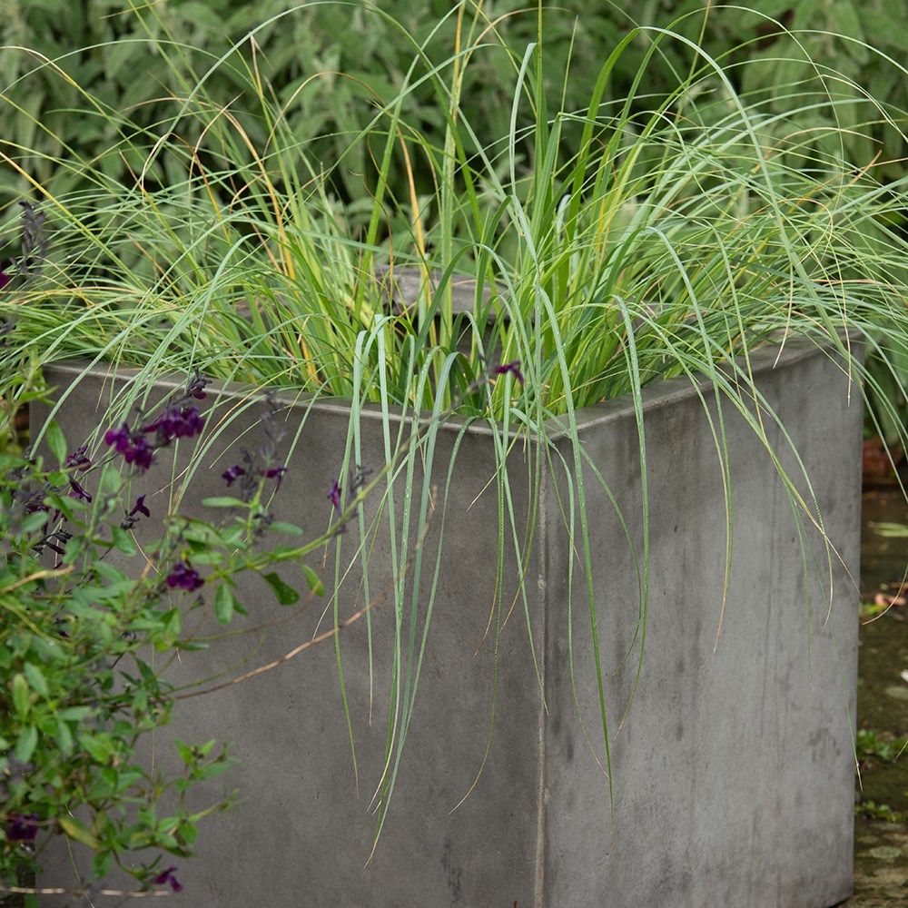 Square terrace planter - weathered cement