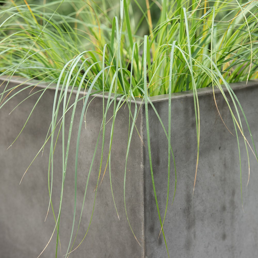 Square terrace planter - weathered cement