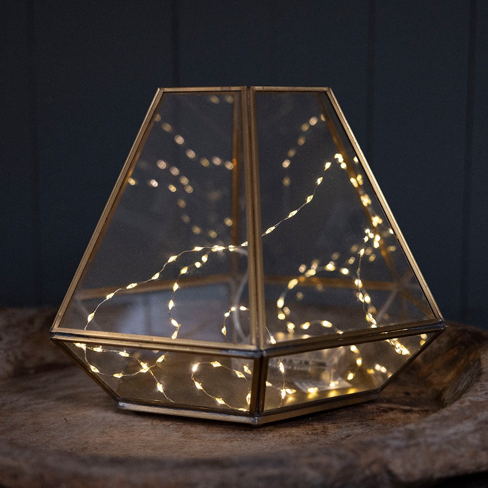 Extra dense wire lights -100 warm white