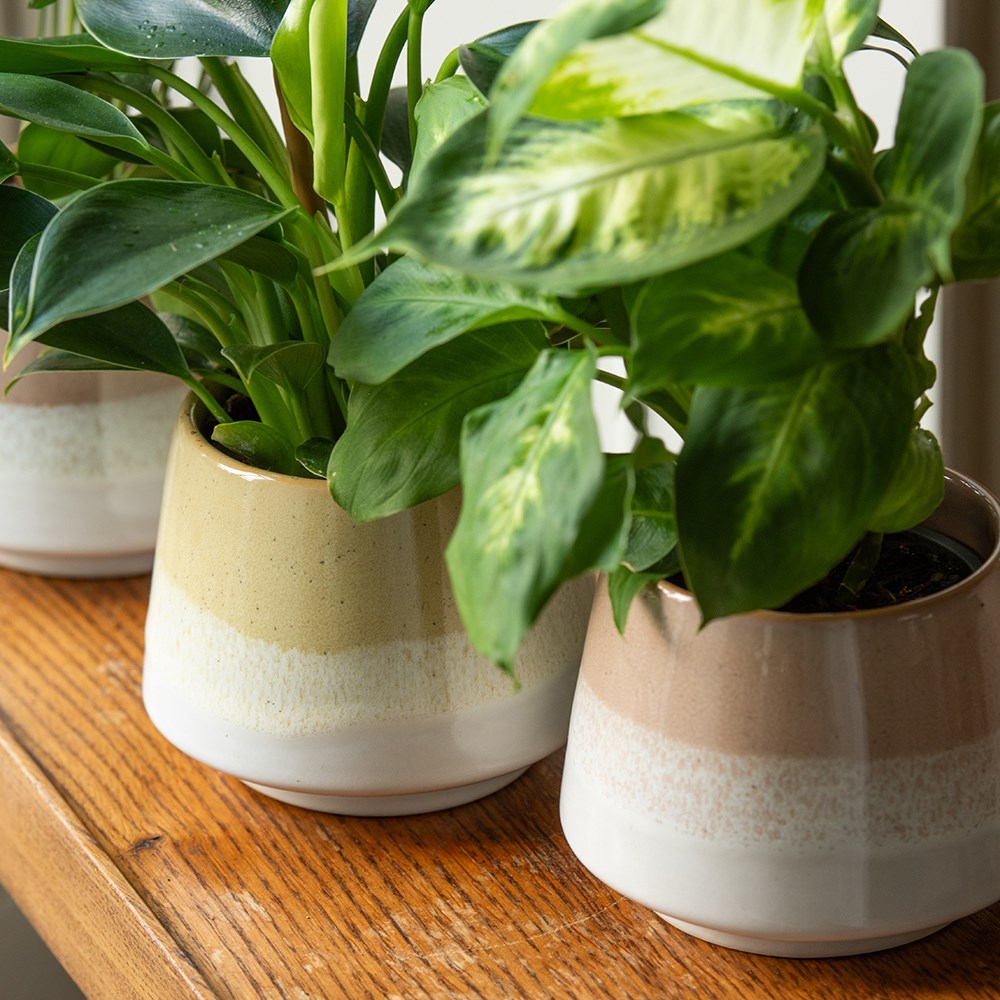 Stoneware reactive glaze planter - pink