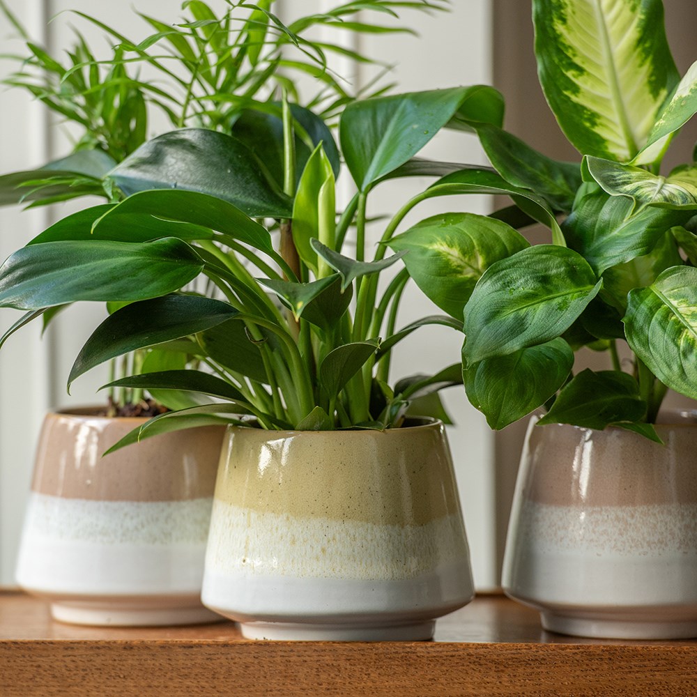 Stoneware reactive glaze planter - pink