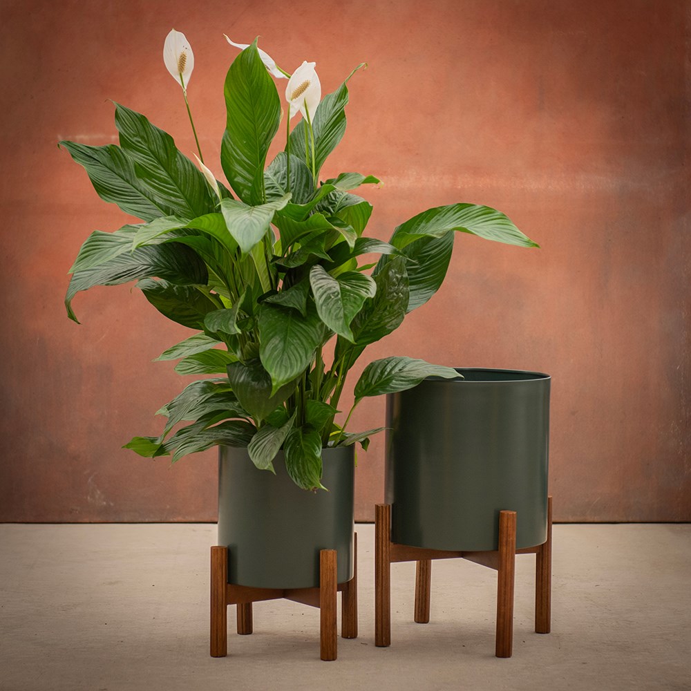 Oslo standing planters fir green - set of 2