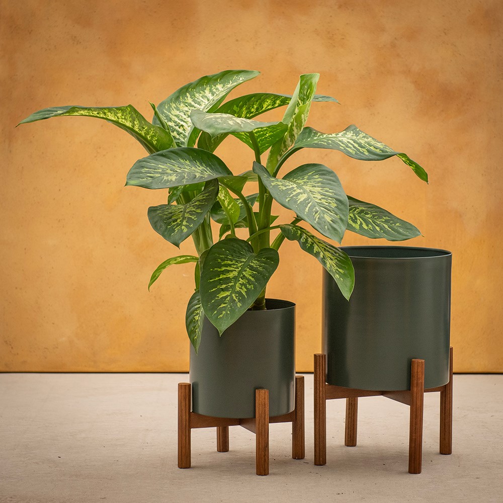 Oslo standing planters fir green - set of 2
