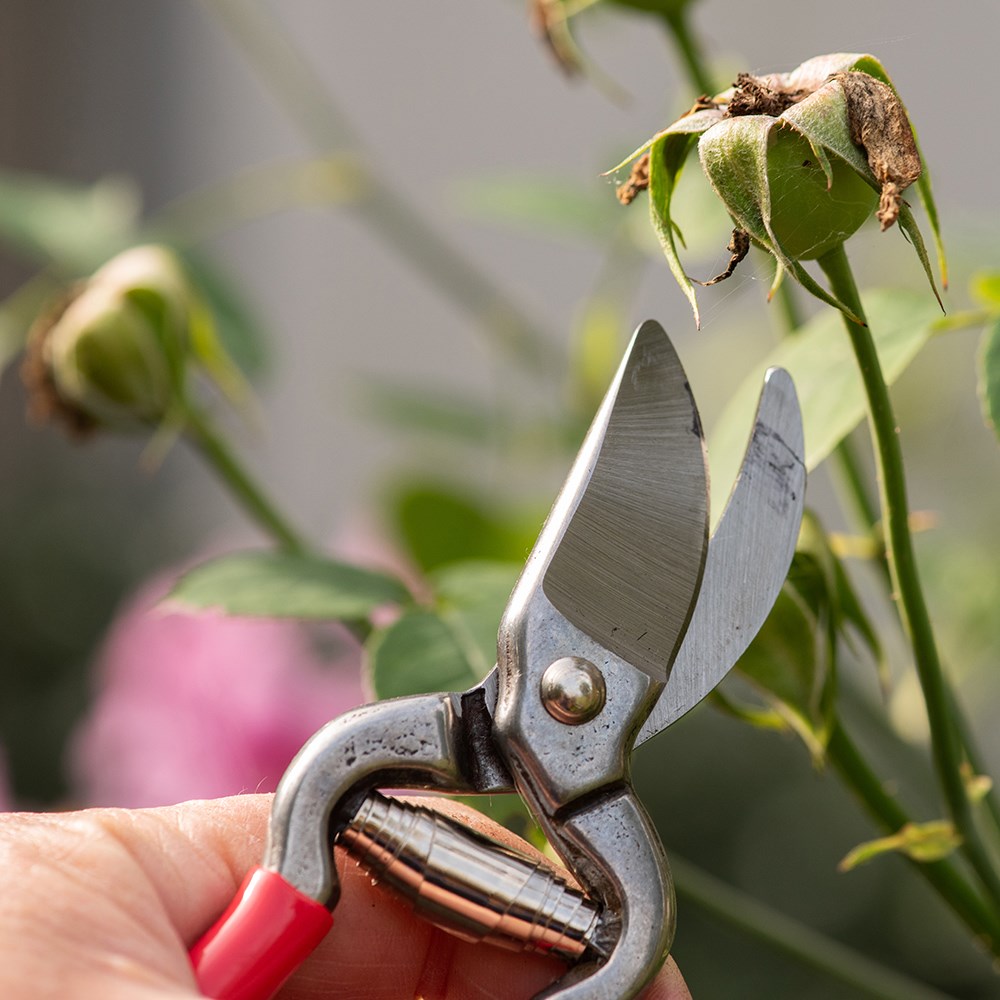Compact pruner - red