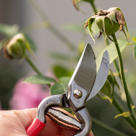 Compact pruner - red