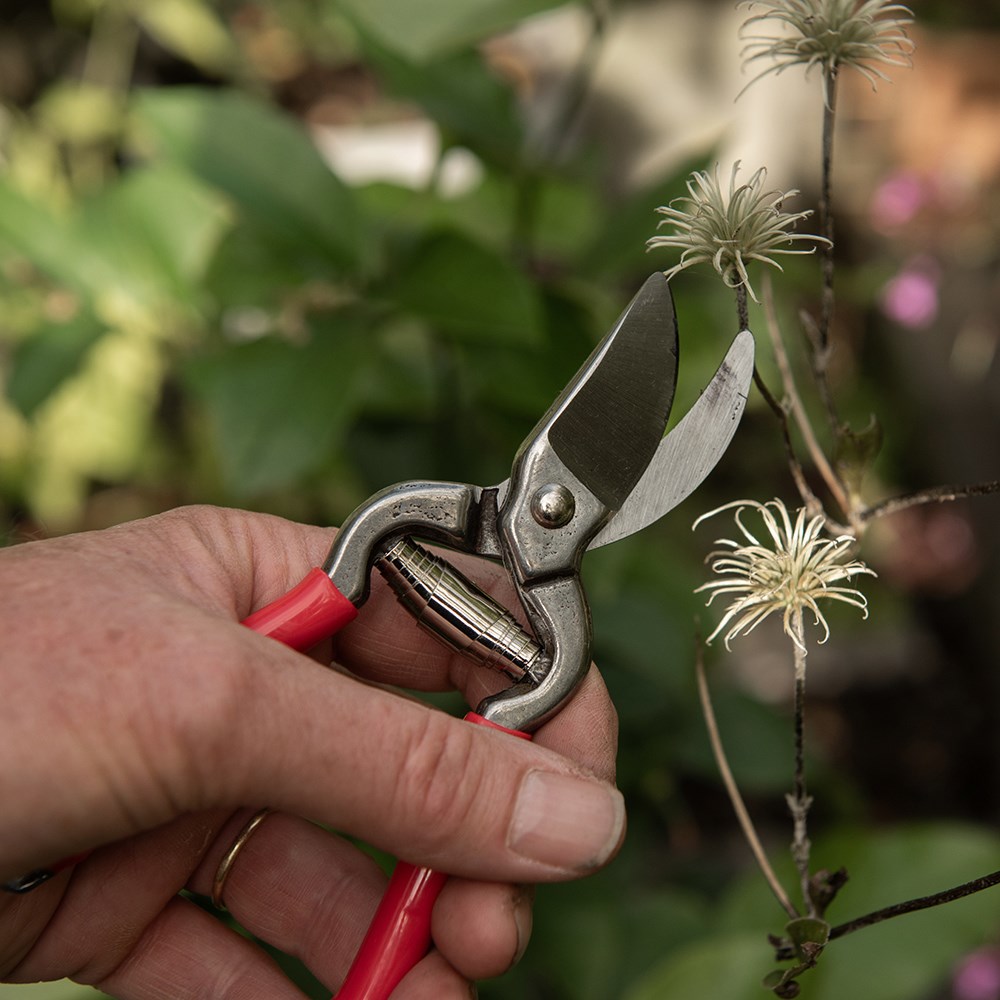 Compact pruner - red