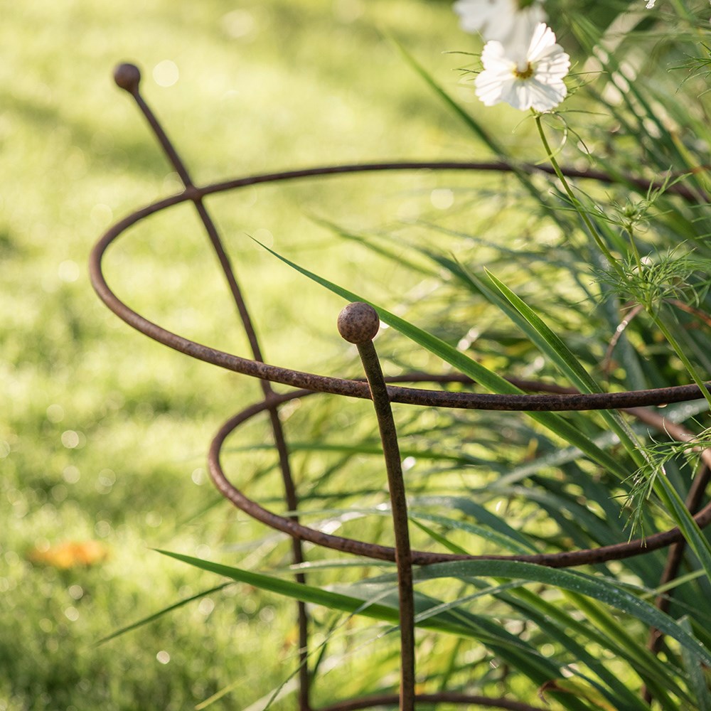 Fluted peony plant support - rust