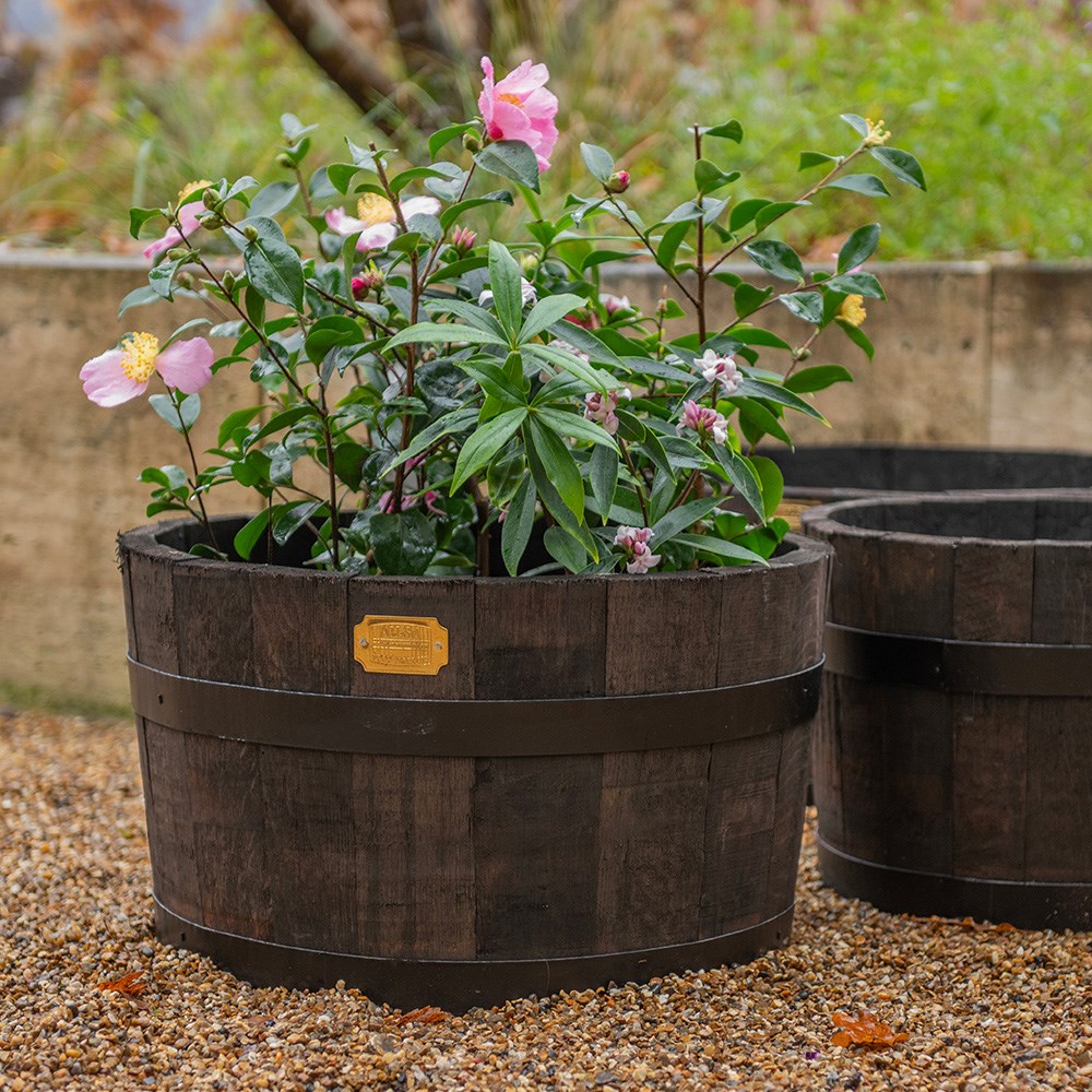 Reclaimed oak barrel planter