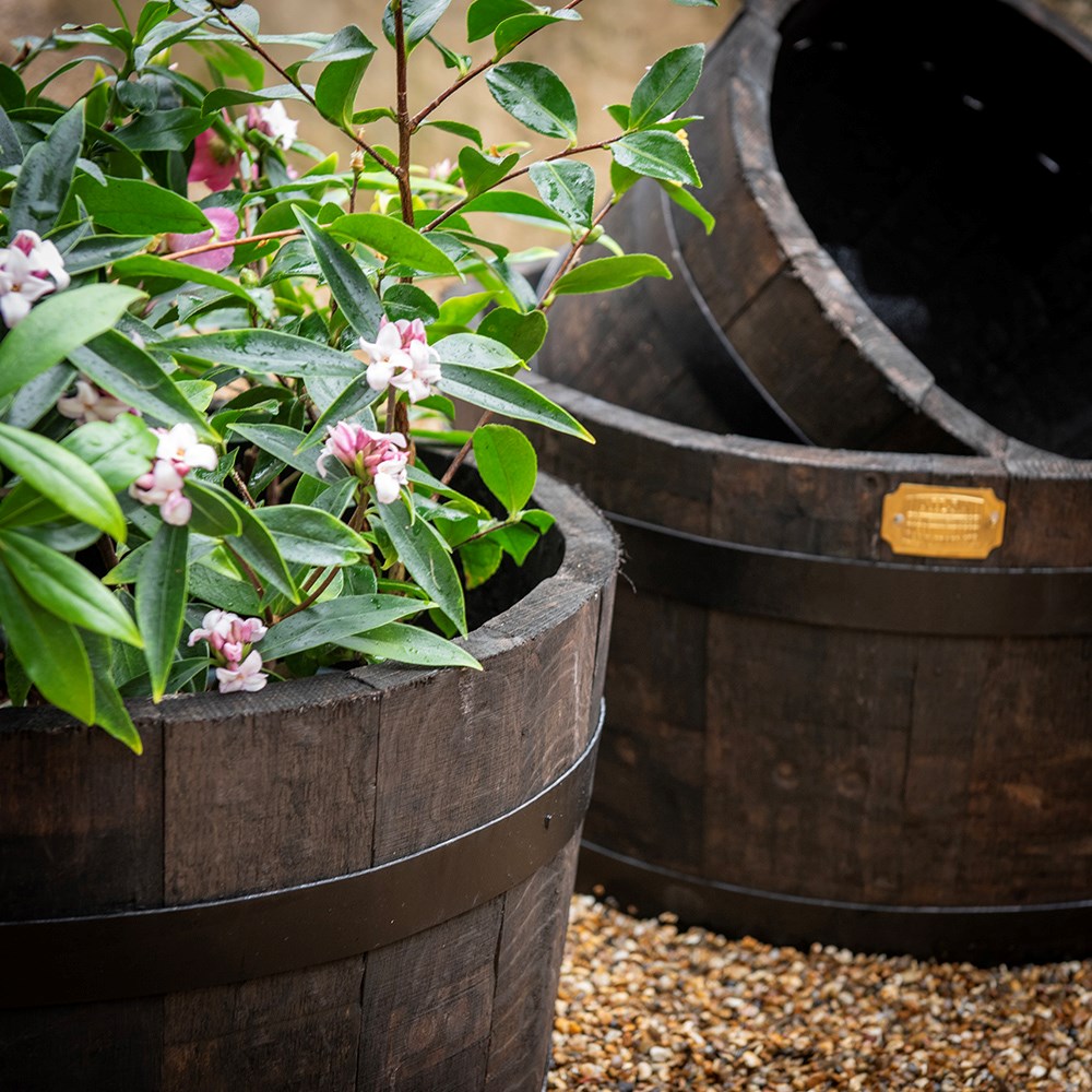 Reclaimed oak barrel planter