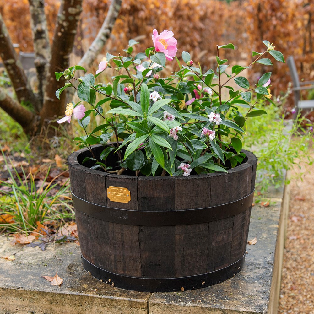 Reclaimed oak barrel planter