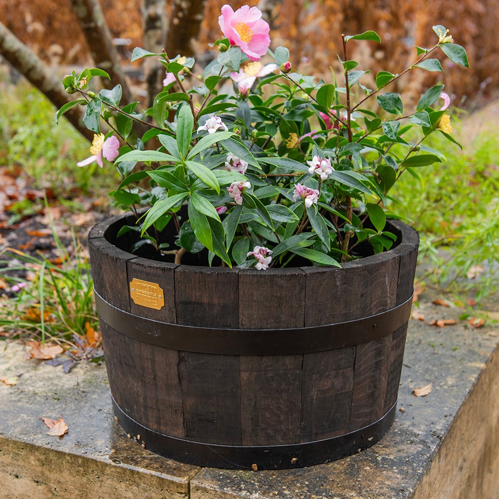 Reclaimed oak barrel planter