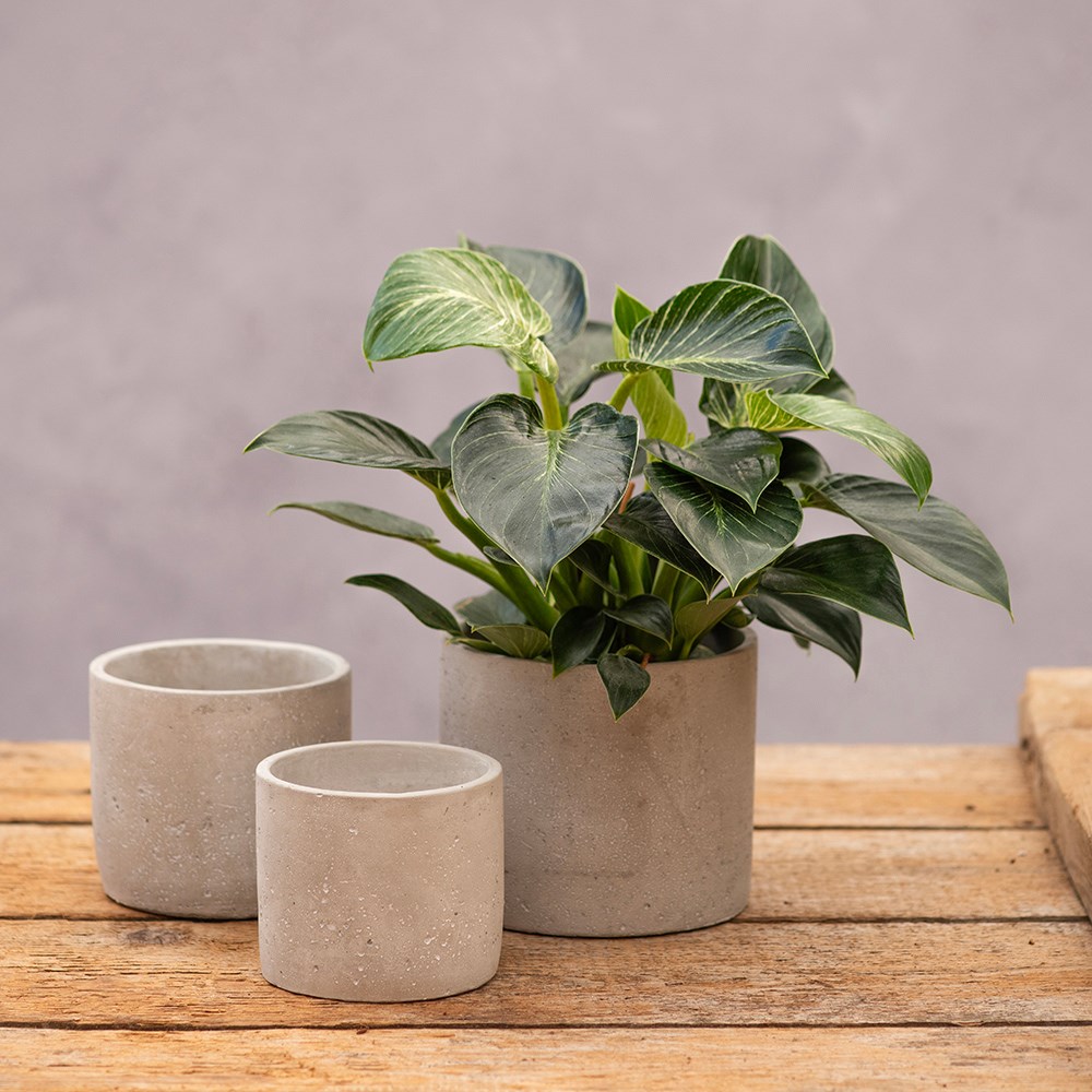 Cement round plant pot - light grey 