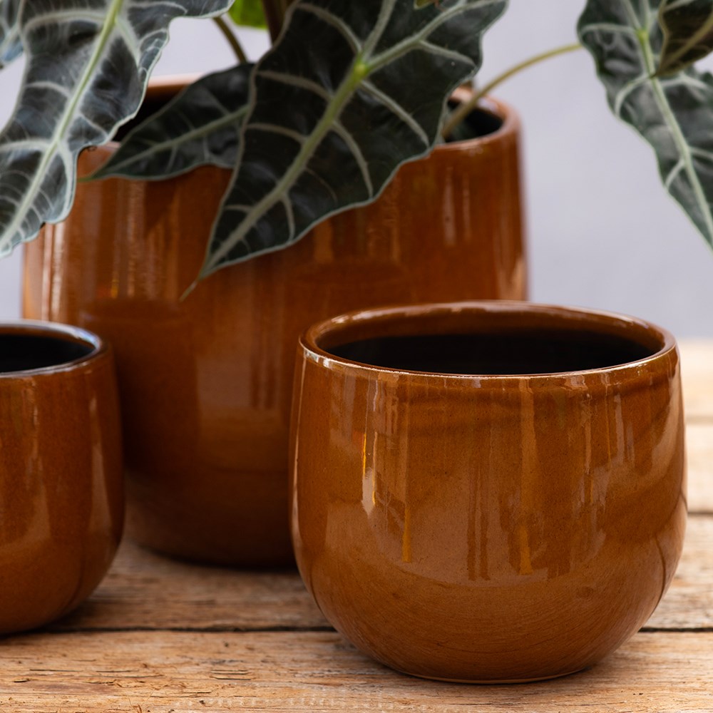 Glazed round plant pot - mustard