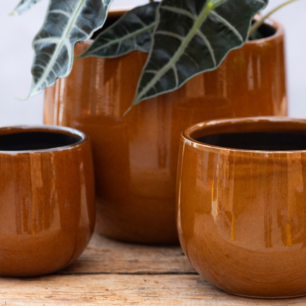 Glazed round plant pot - mustard