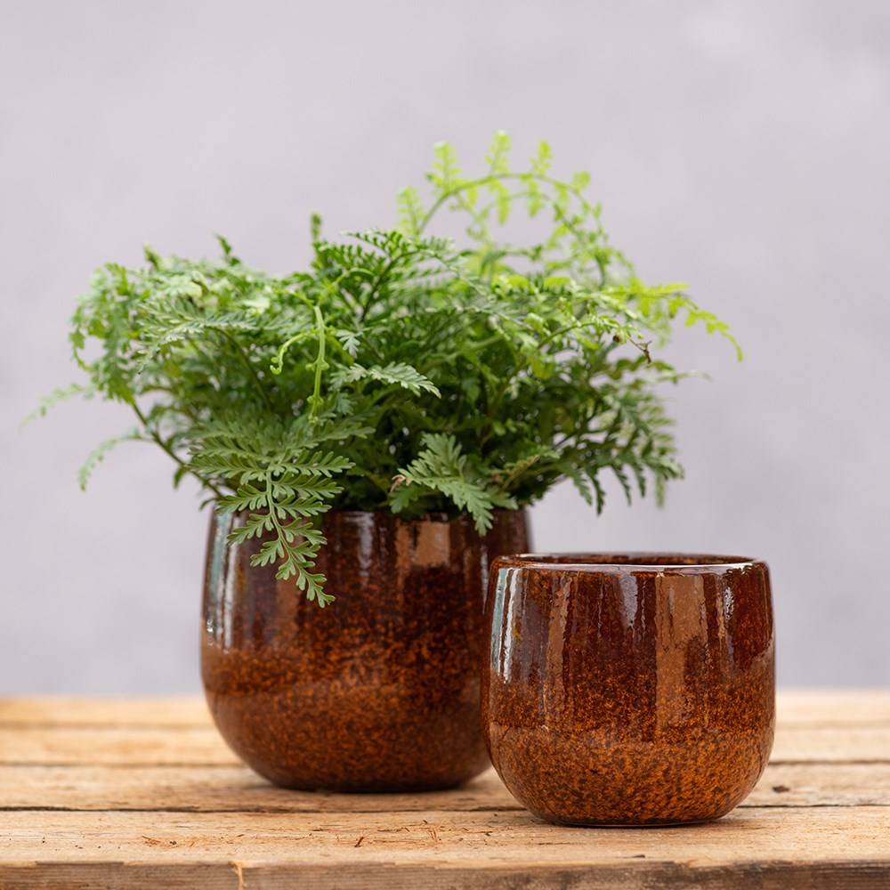 Glazed round plant pot - rust