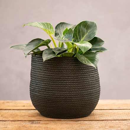 Round woven seagrass basket - black