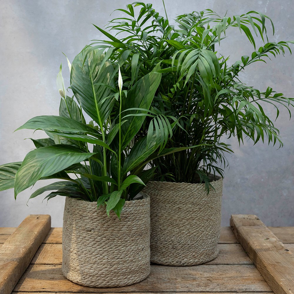 Woven jute round plant pots - set of 2