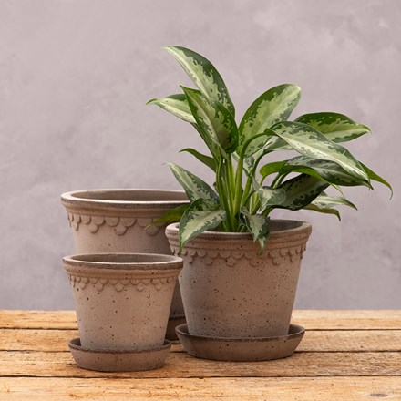 Bergs scalloped tapered plant pot with saucer - grey terracotta