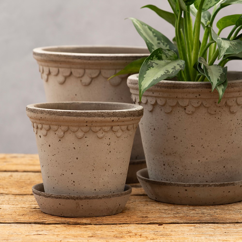 Bergs scalloped tapered plant pot with saucer - grey terracotta