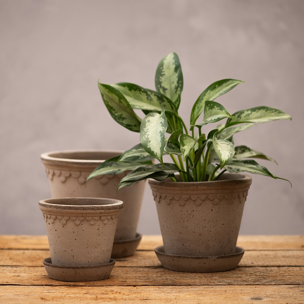 Bergs scalloped tapered plant pot with saucer - grey terracotta