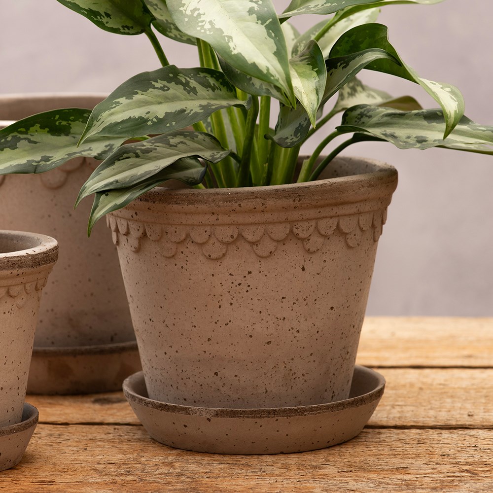 Bergs scalloped tapered plant pot with saucer - grey terracotta