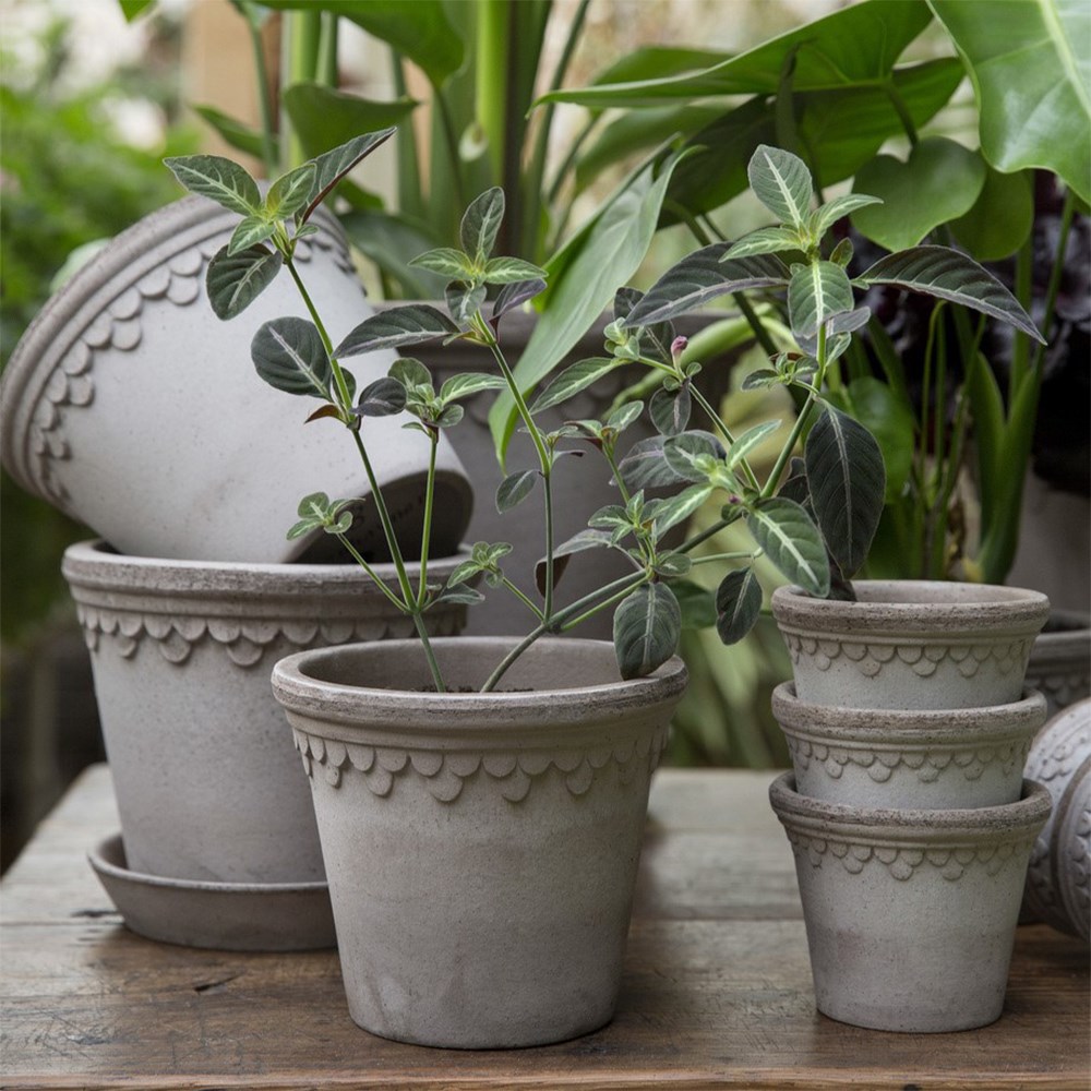 Bergs scalloped tapered plant pot with saucer - grey terracotta