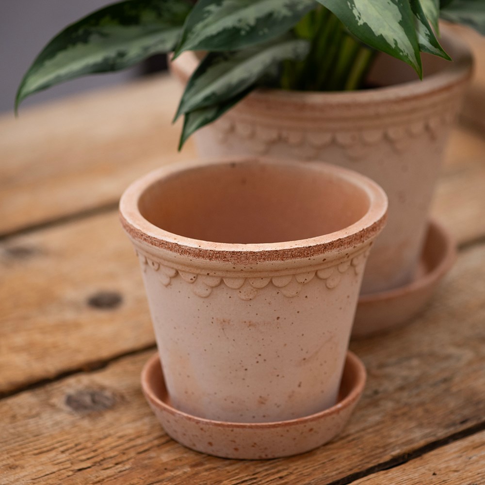Bergs scalloped tapered plant pot & saucer - terracotta