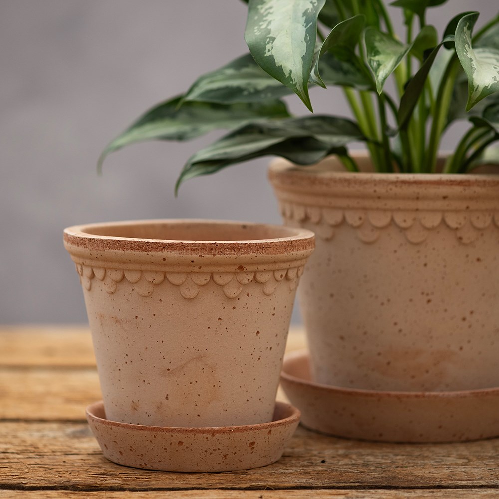 Bergs scalloped tapered plant pot & saucer - terracotta