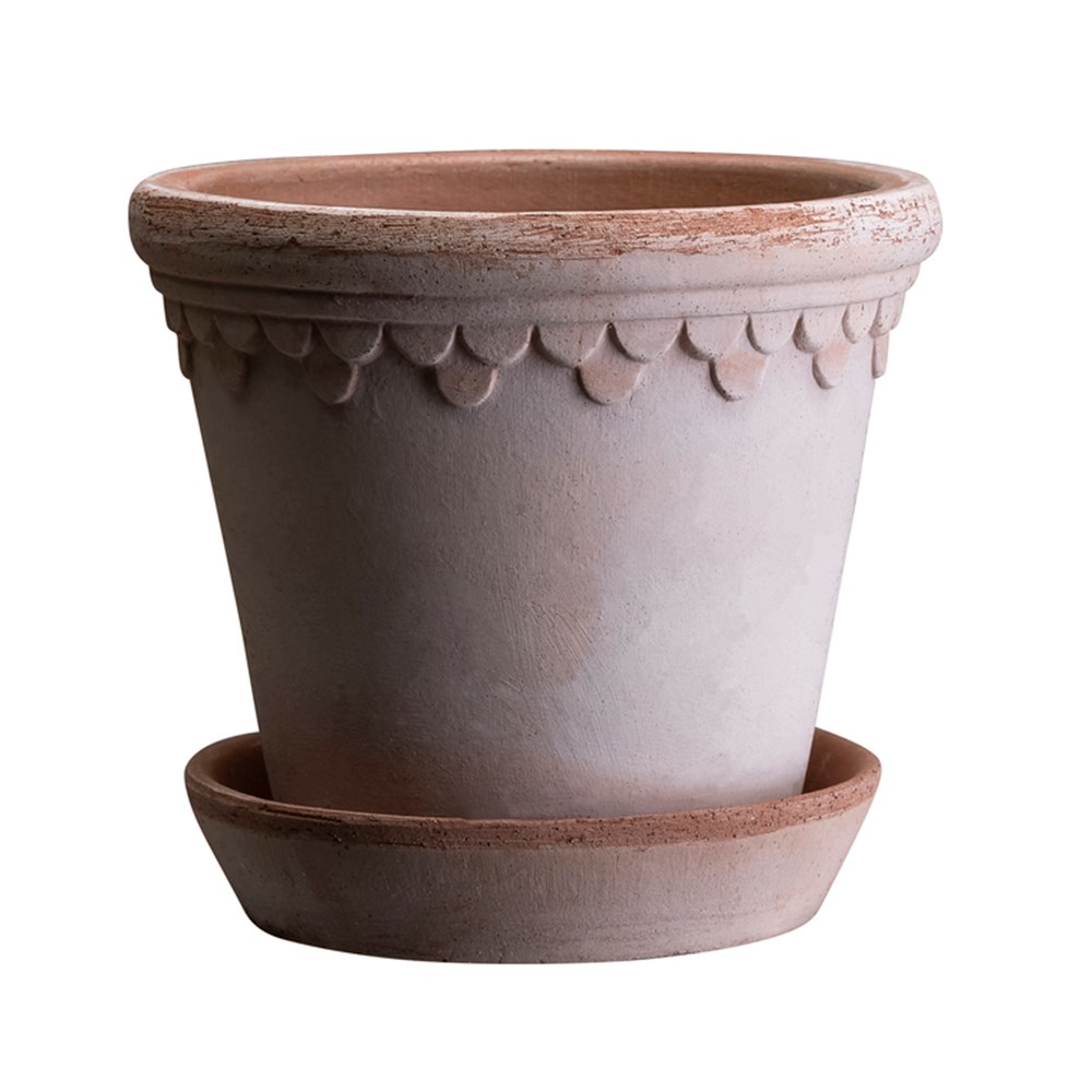 Bergs scalloped tapered plant pot & saucer - terracotta
