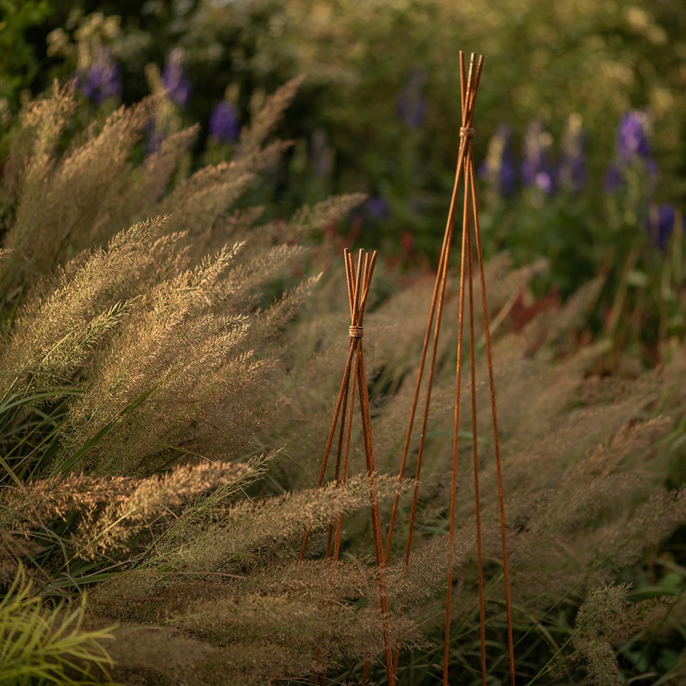 Sweet pea wigwam obelisk - rust