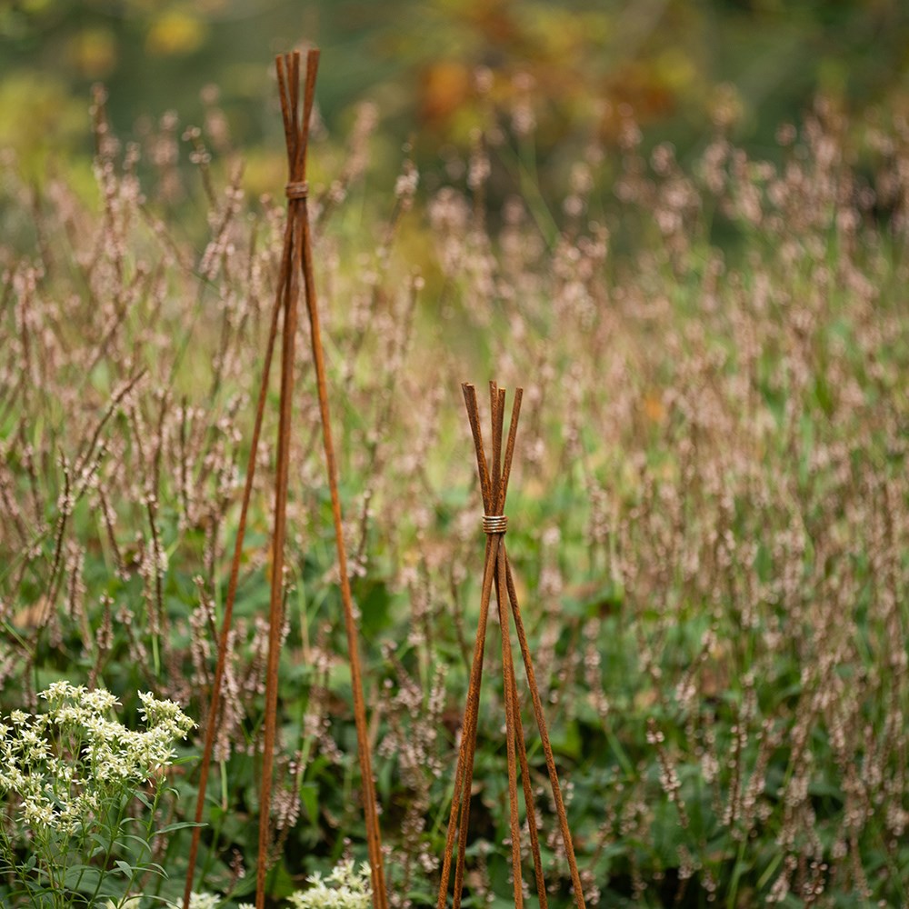 Sweet pea wigwam obelisk - rust