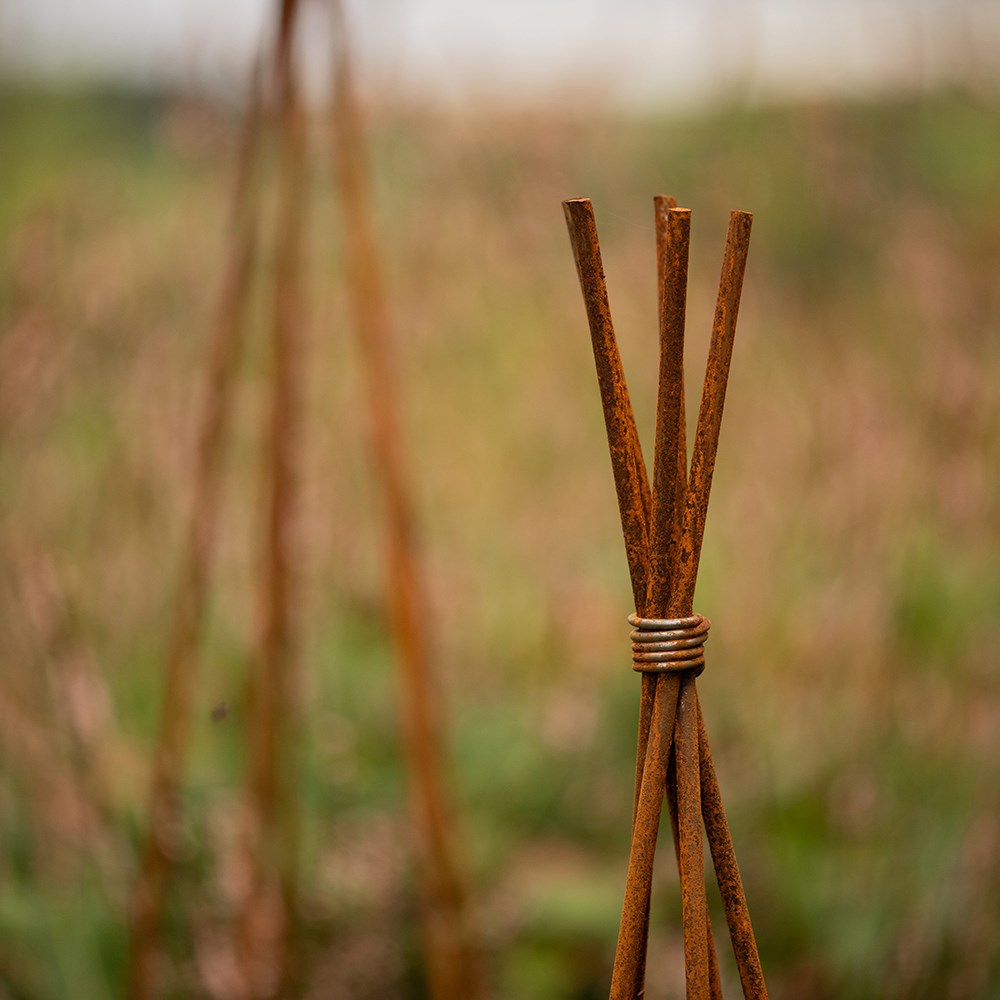 Sweet pea wigwam obelisk - rust