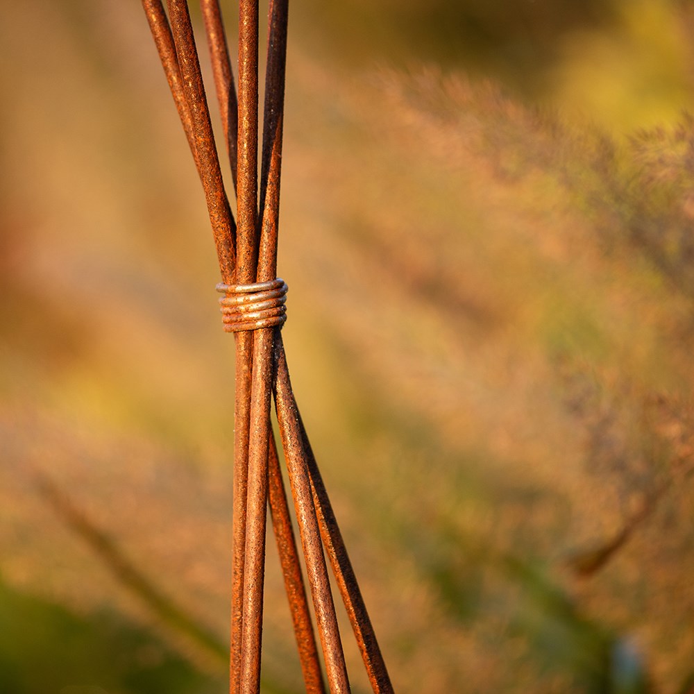Sweet pea wigwam obelisk - rust