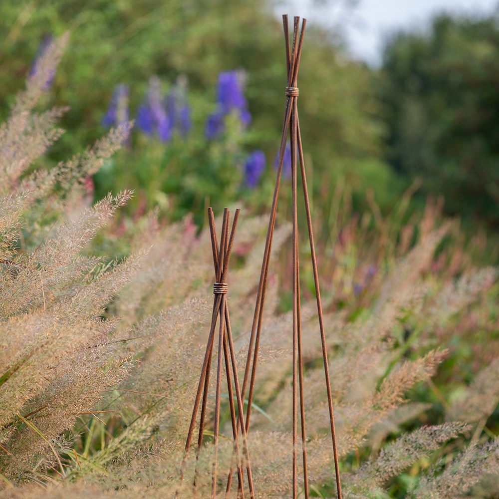 Sweet pea wigwam obelisk - rust