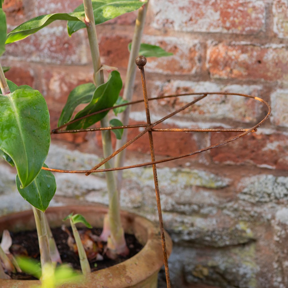 Dahlia circular plant support - rust 