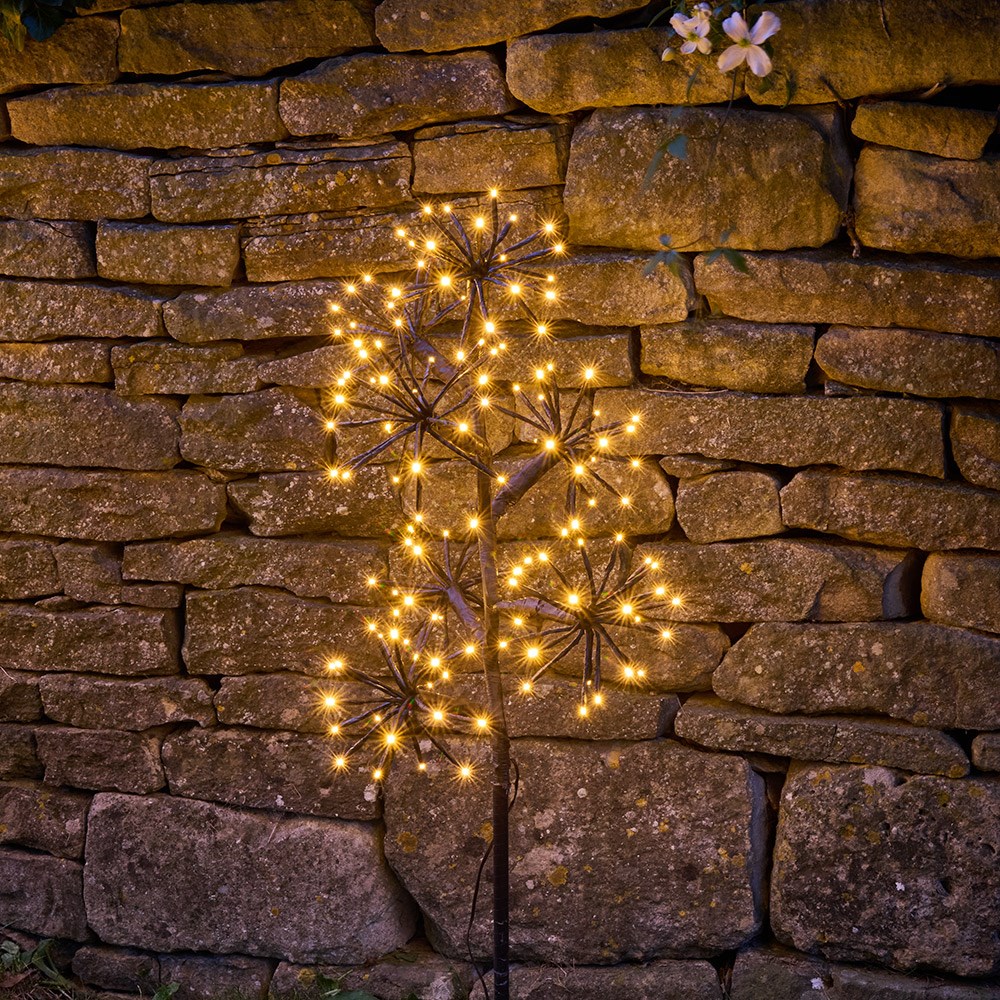 Solar starburst branch