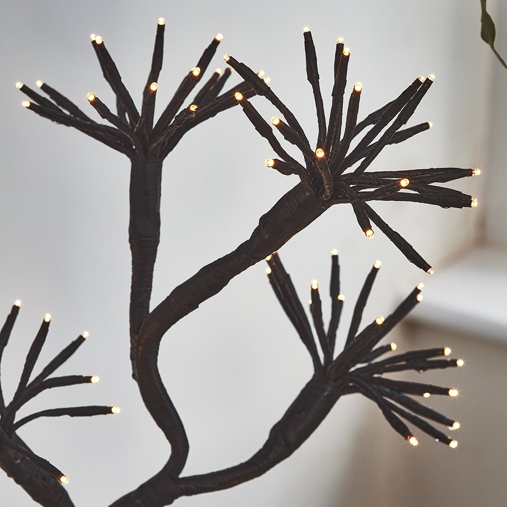 Solar starburst branch