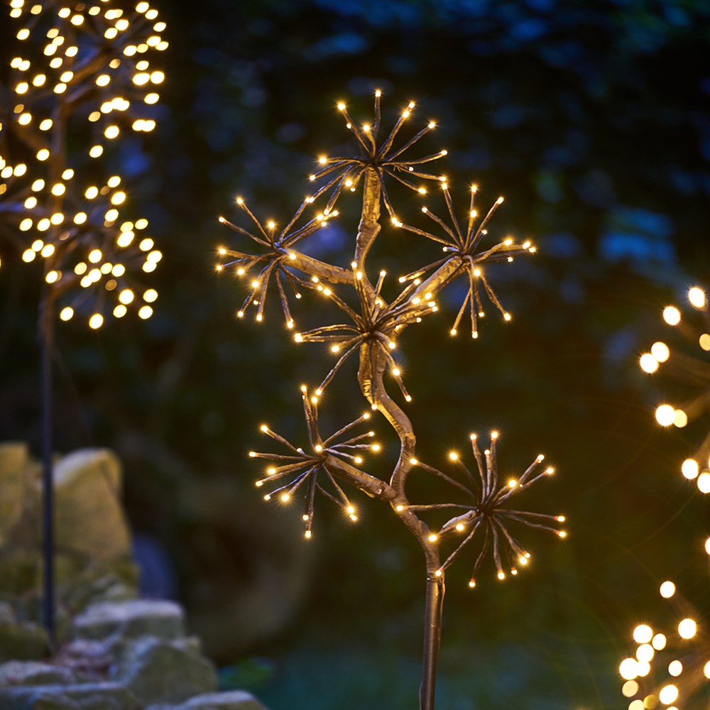 Solar starburst branch